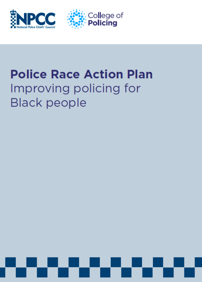 Police Race Action Plan image.png